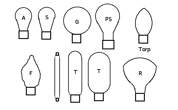 Bulbs